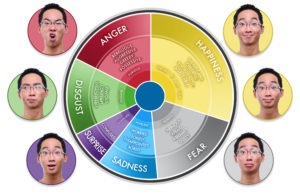 primary emotions