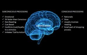 The Shopper Brain