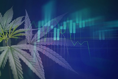 Cannabis Data Analytics